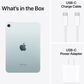 Apple iPad Mini Wi-Fi + Cellular 256GB - Blue with 2-Year AppleCare+, , large