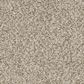 Phenix Seaview Carpet in Picturesque, , large