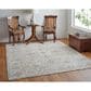Feizy Celene 39L0F 5" x 7"6" Beige and Gray Area Rug, , large