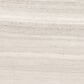Shaw Vision Ash 16" x 32" Glazed Ceramic Tile, , large