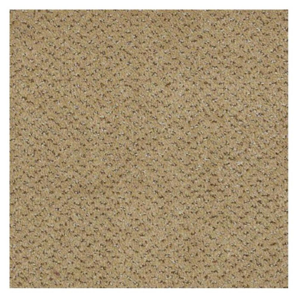 Shaw Next Generation Carpet in Bran, , large