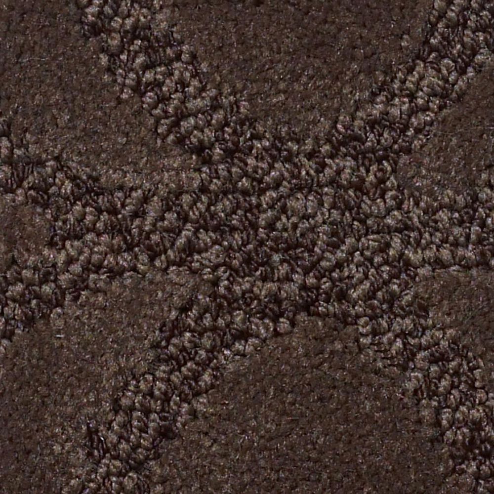 Philadelphia Green Creek Carpet in Bison NFM