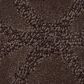 Anderson Tuftex Green Creek Carpet in Bison, , large
