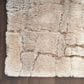 Nourison Dreamy Shag 4" x 6" Ivory and Beige Area Rug, , large