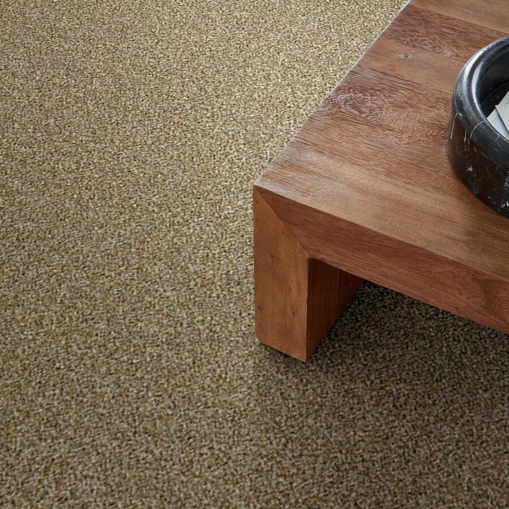 Shaw Simply the Best Cabana Life Tonal Carpet in Dried Clay, , large