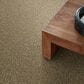 Shaw Simply the Best Cabana Life Tonal Carpet in Dried Clay, , large