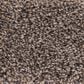 Shaw Bellera Calm Simplicity II Carpet in Antelope, , large