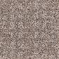 Shaw Bellera Secret Passage Carpet in Dark Maple, , large