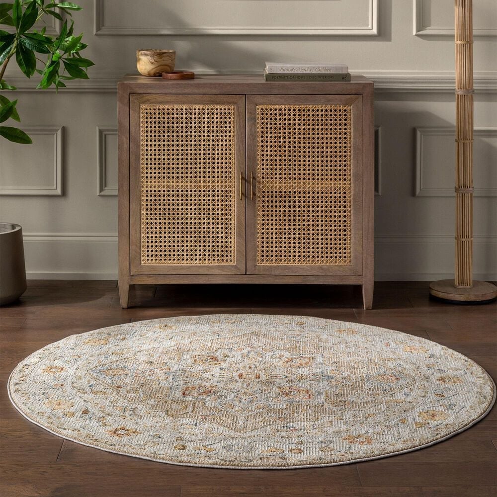 Surya Reina Tan, Light Gray, Medium Gray, Cream, Light Brown, Denim, Rust and Mustard 5&#39;3&quot; Round Area Rug, , large