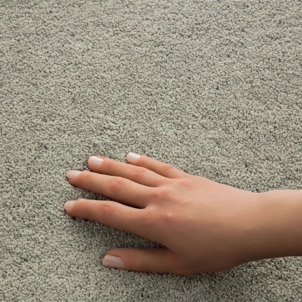 Philadelphia Champagne Taste I Carpet in Organic Grown, , large