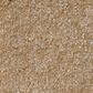 Shaw Luxuriant Carpet in Mountain Lion, , large