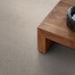 Anderson Tuftex Caboodle Carpet in Balanced, , large