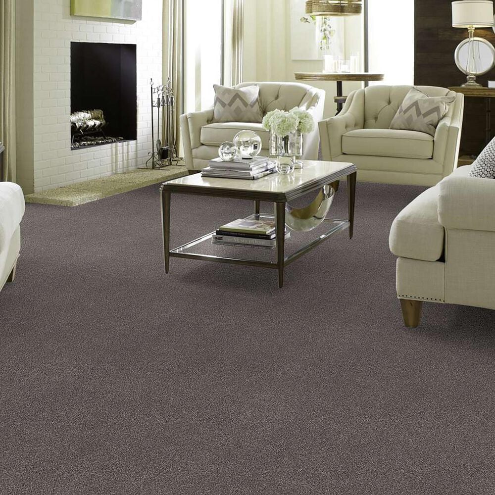 Anderson Tuftex Caress Cozy Harbor I Carpet in Well Traveled, , large