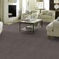 Anderson Tuftex Caress Cozy Harbor I Carpet in Well Traveled, , large