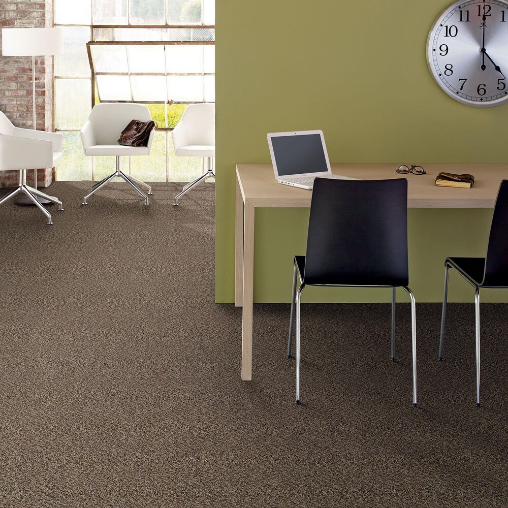 Philadelphia Mixed Essentials Carpet in Raw Wood, , large