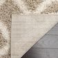 Safavieh Dallas Shag SGD258D-4 4" x 6" Beige/Ivory Area Rug, , large