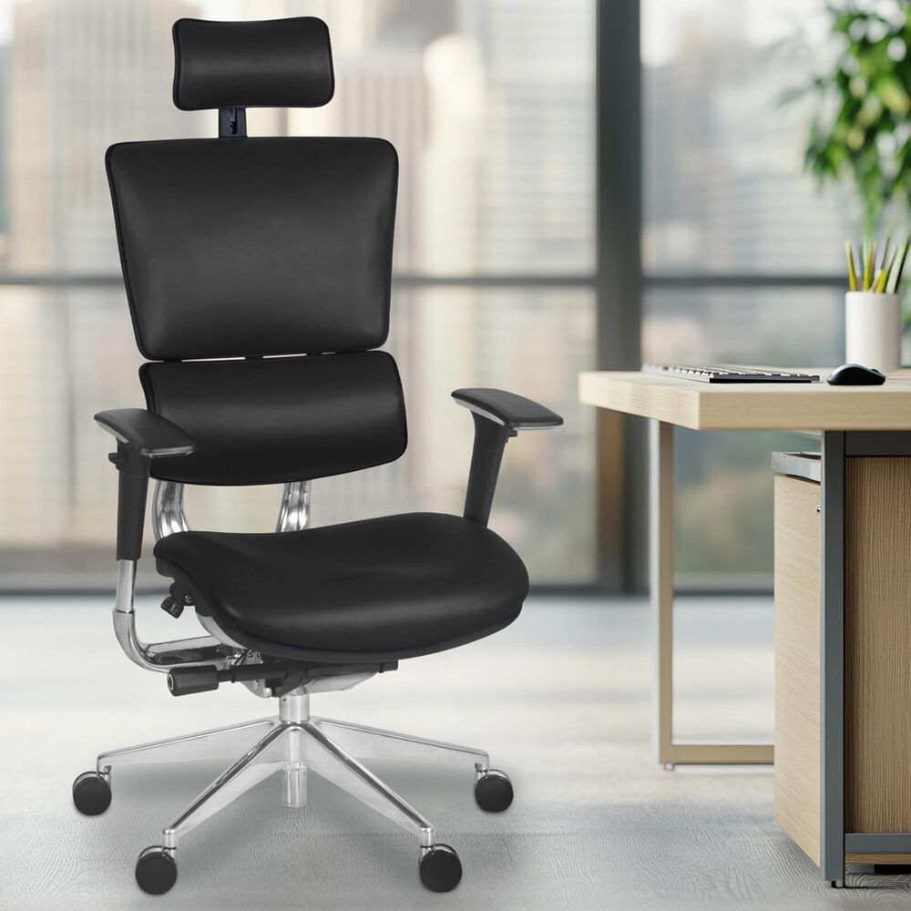 Regency Global Sourcing Omega Ergonomic Executive Office Chair in Black, , large
