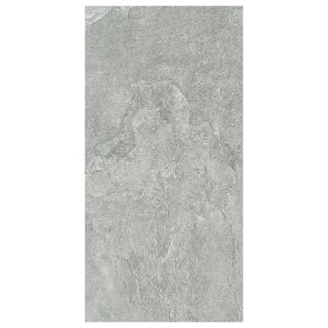 Shaw Crown Grey 12" x 24" Porcelain Tile, , large