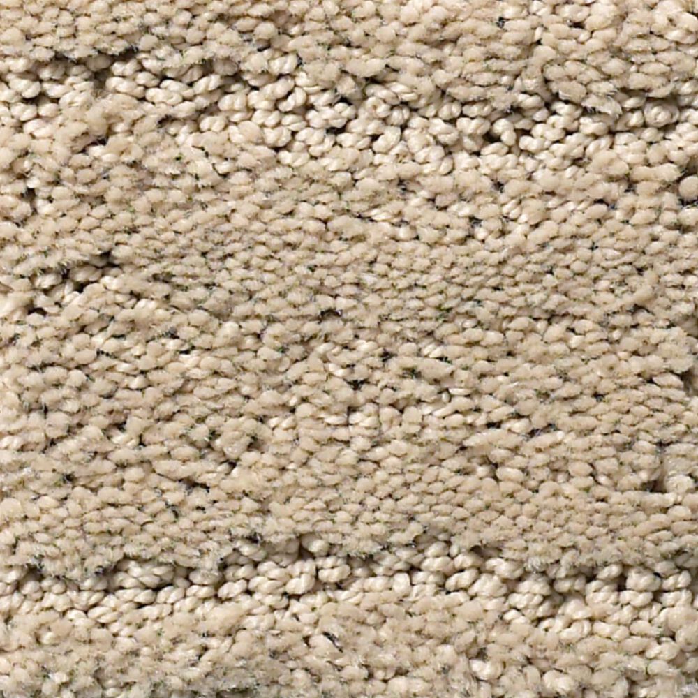 Anderson Tuftex Matisse Carpet in Oak Ridge, , large