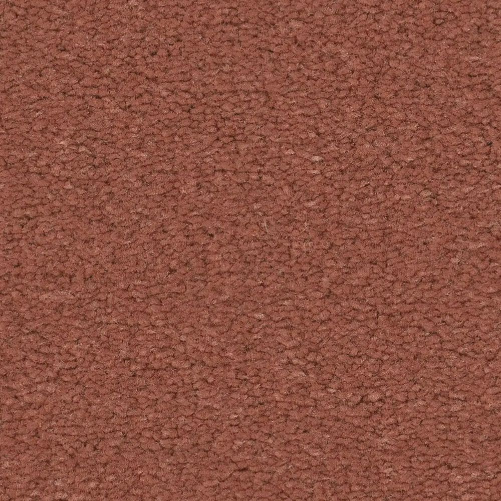 Anderson Tuftex Finery Carpet in Coral Reef, , large