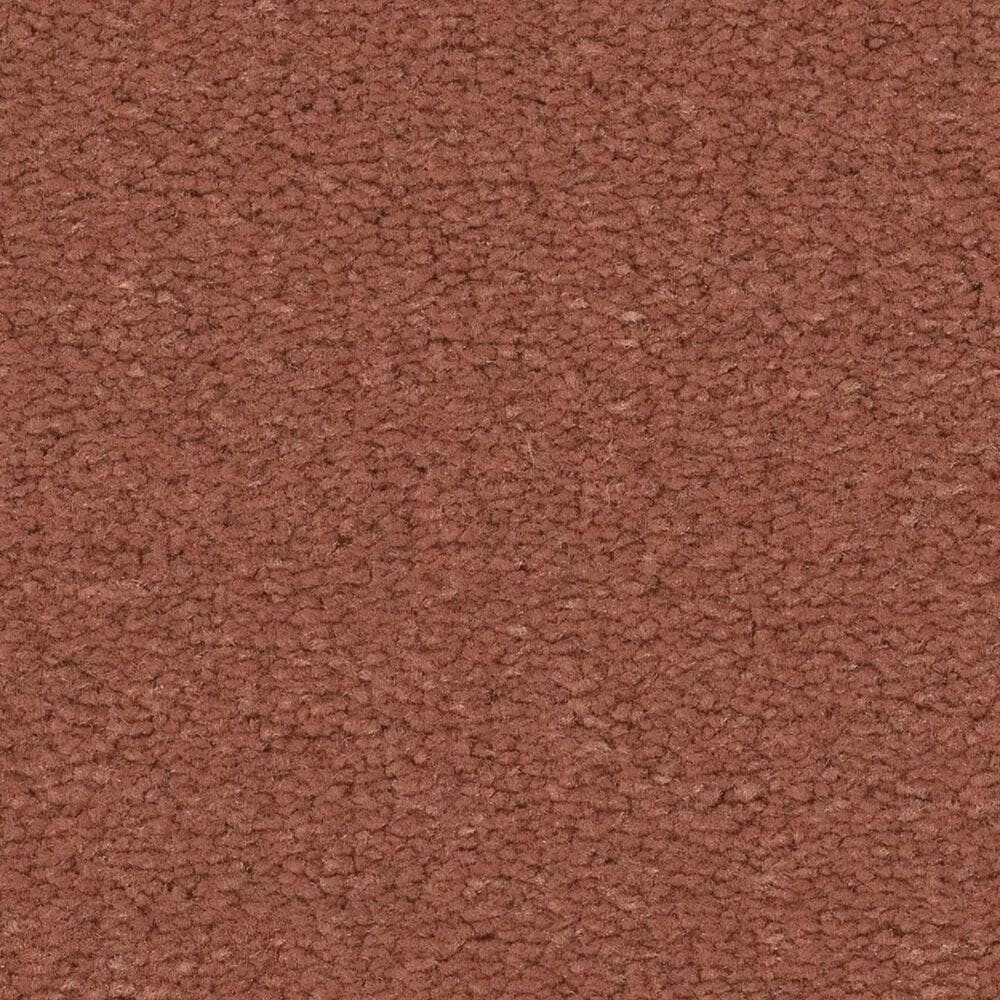 Anderson Tuftex Finery Carpet in Coral Reef, , large