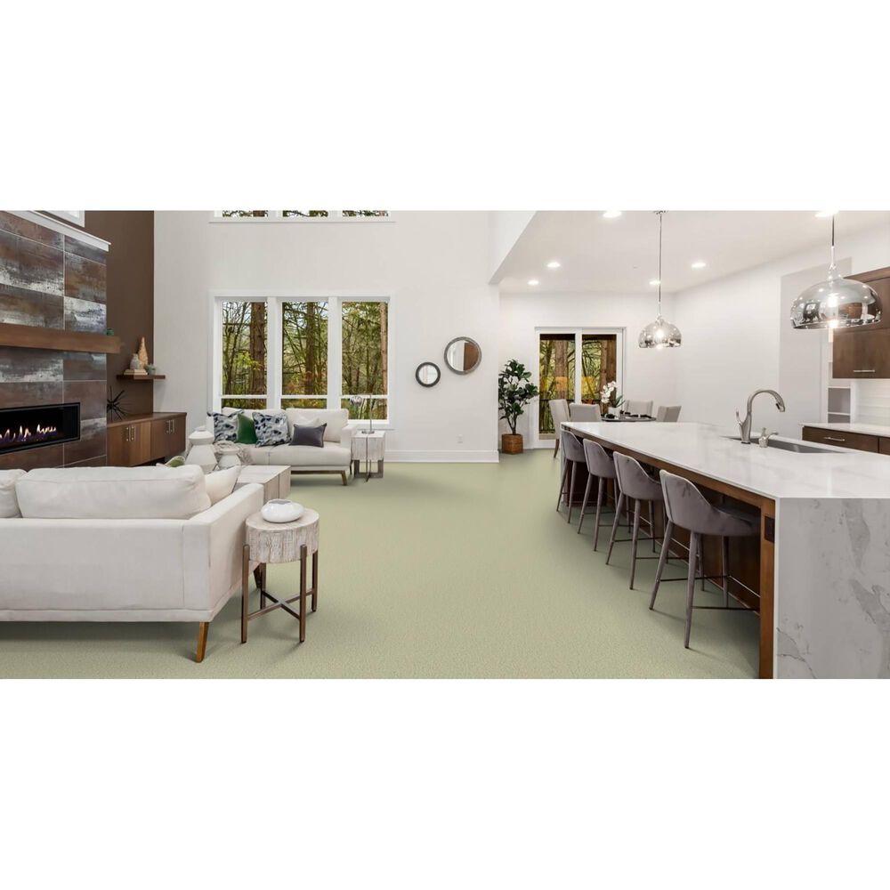 Masland Miami Carpet in Glade, , large