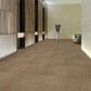 Shaw Carbon Copy 24" x 24" Carpet Tile in Alter Ego, , large