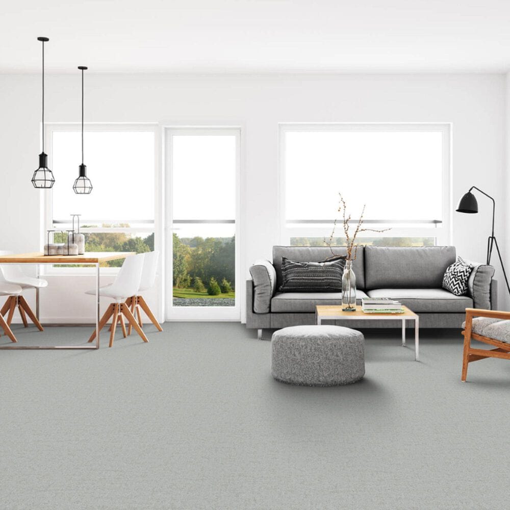 Dixie Home Genuine Carpet in Positive, , large