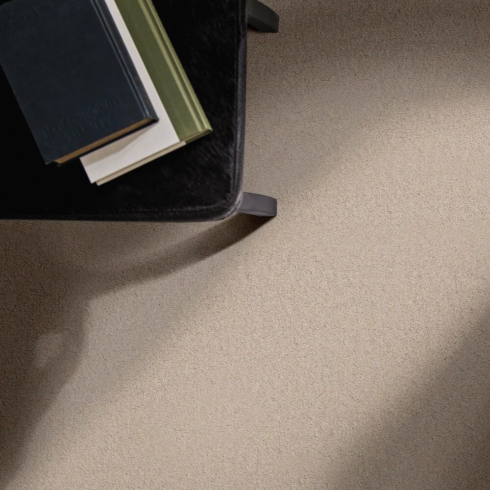 Anderson Tuftex Finery Carpet in Putty, , large