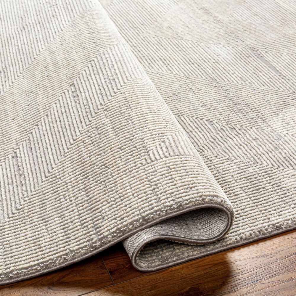 Surya Alder 1&#39;11&quot; x 3&#39;9&quot; Gray, Cream, Light Slate, Ivory, Tan and Taupe Area Rug, , large
