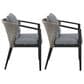 Blue River Aileen Outdoor Dining Chair with Dark Gray Cushion in Black and Gray (Set of 2), , large