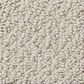 Shaw Detailed Statement Loop Carpet in Natural, , large