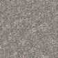 Shaw Bold Move Plus Carpet in Ashes, , large