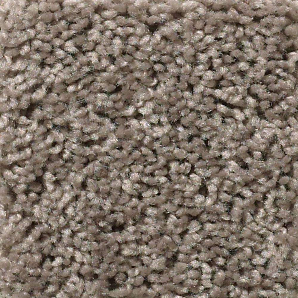 Shaw Break Away Solid Carpet in Weathered Wood, , large