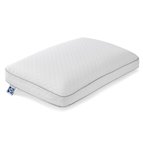 Sealy Molded Memory Foam Pillow
									