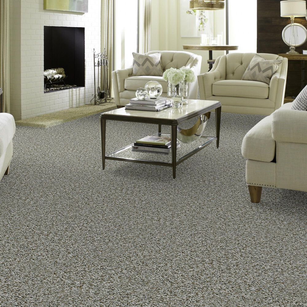 Shaw Break Away Tonal Carpet in Windy City, , large