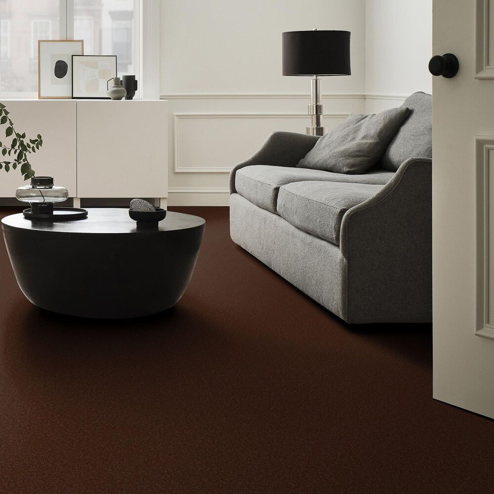 Anderson Tuftex Enduring Charm Carpet in Cinnabar, , large