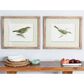 Maple and Jade 22" x 27" Birds Framed Wall Art in Green and White (Set of 2), , large