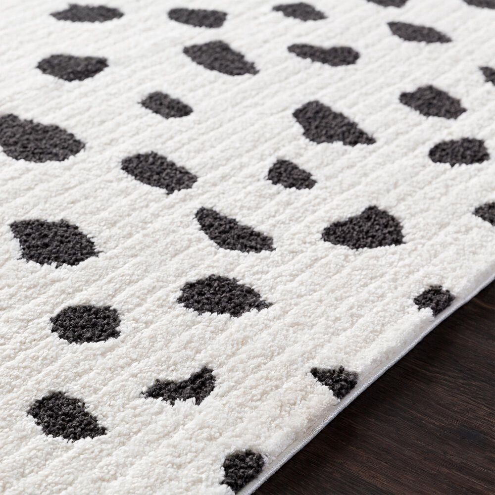 Surya Moroccan Shag MCS-2307 2&#39; x 3&#39; Black and White Area Rug, , large