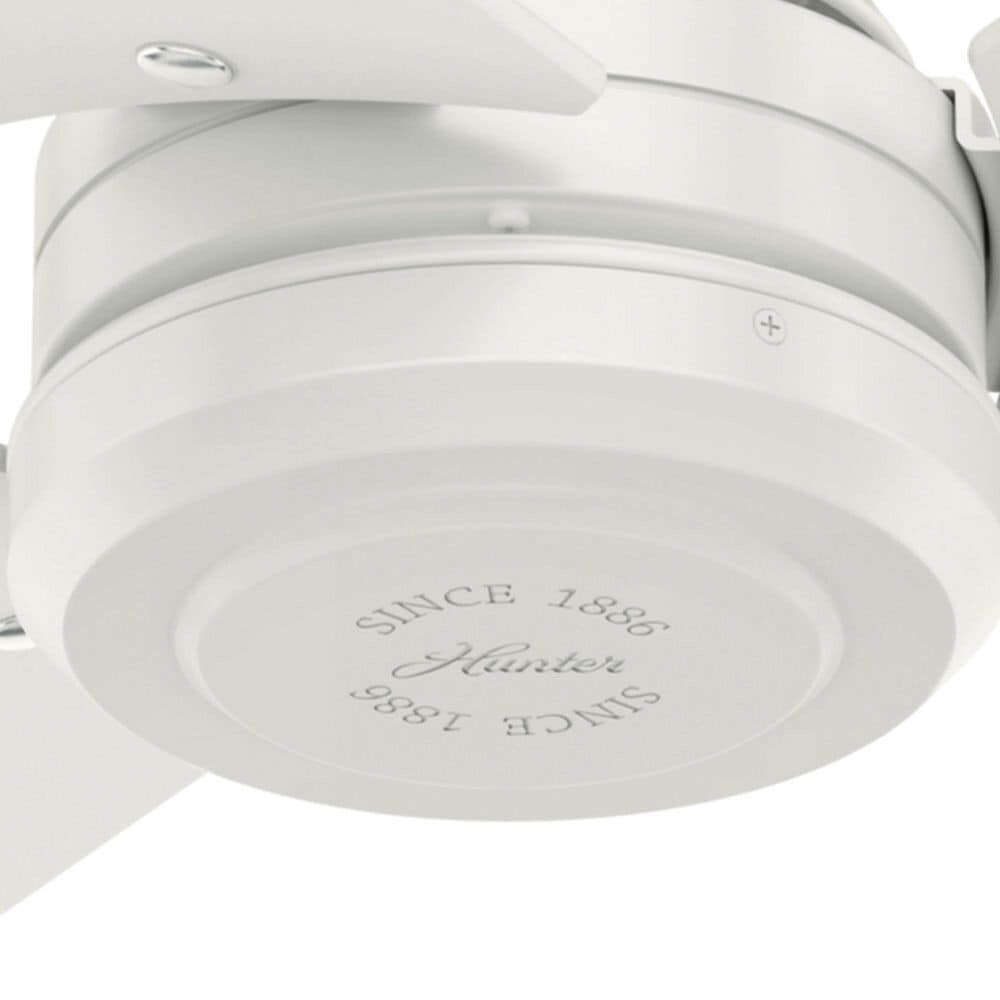 Hunter Cassisus 52&quot; Outdoor Ceiling Fan in Fresh White, , large