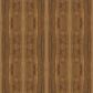 Tru-Cor Alpha Spice Acacia 7" x 48" Luxury Vinyl Plank, , large