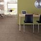 Shaw Wanderer Carpet in Driftwood, , large
