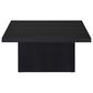 Pacific Landing Devar Square Coffee Table in Black, , large