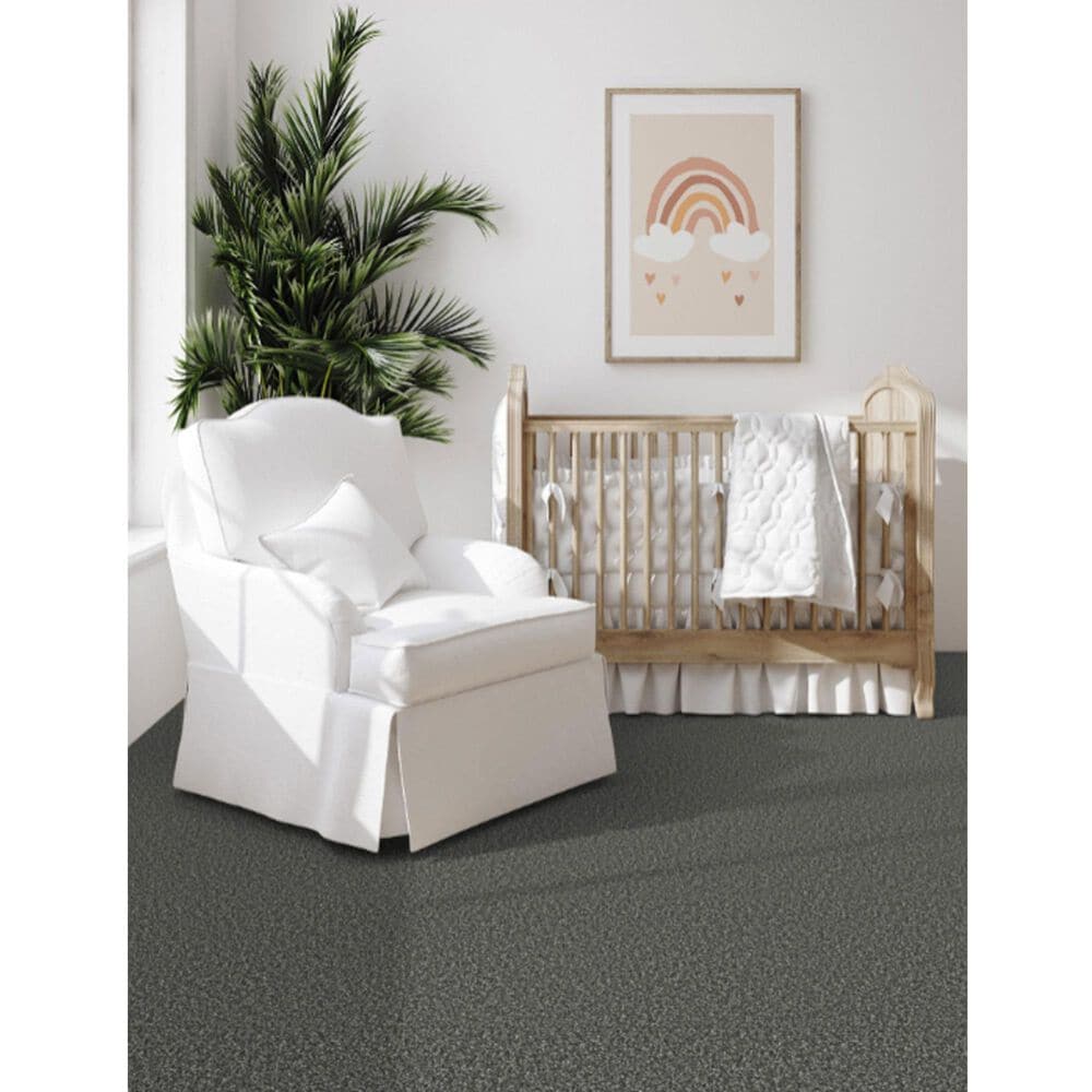 Dixie Home Main Force Carpet in Onyx, , large