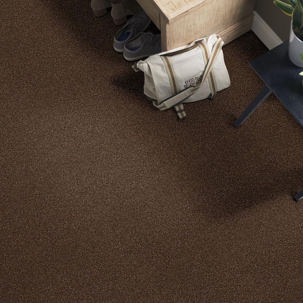 Shaw Find Your Comfort TT II Carpet in Chocolate Treat, , large