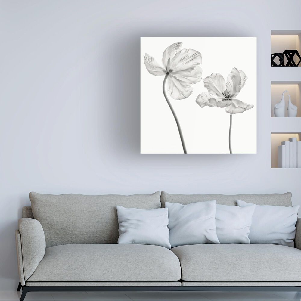 Timberlake Lotte Gronkjar &#39;Same Tulip : Front- And Back View&#39; 24&quot; x 24&quot; Canvas Art, , large