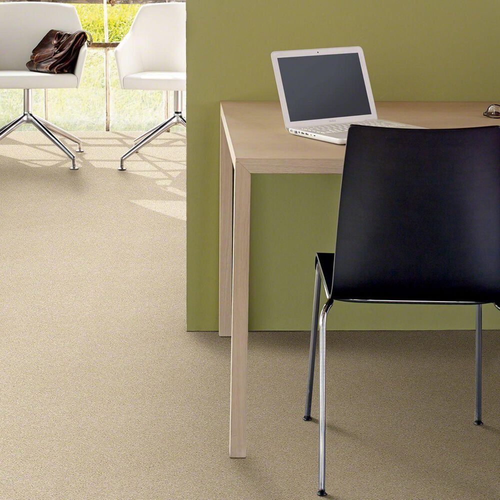 Philadelphia Basic Rules Carpet in Eggshell, , large