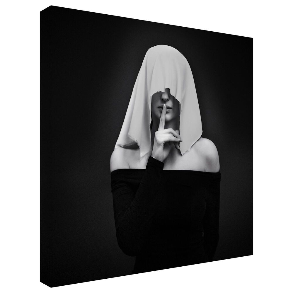 Timberlake &#39;Memento Mori&#39; 24&quot; x 24&quot; Canvas Art in Black/White/Grey, , large