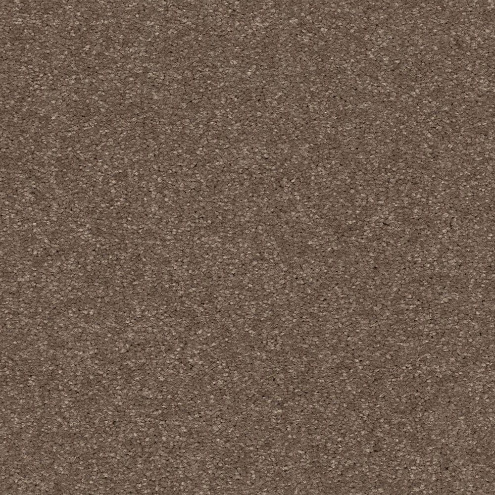 Mohawk Quality Life Carpet in Firewood, , large