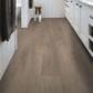 Shaw Endura Plus Simple Wash 7" x 48" Luxury Vinyl Plank, , large